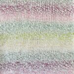 Stylecraft Moorland Chunky 100g