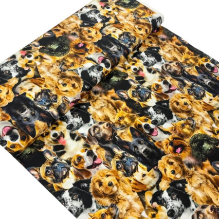 Dog Faces Quilting Cotton