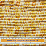 Corn Kernals Quilting Cotton