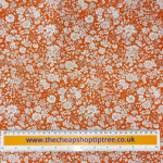 Liberty Floral Nostalgia