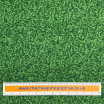 Andover Fairy Rings