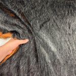 Tazmanian Devil Fur