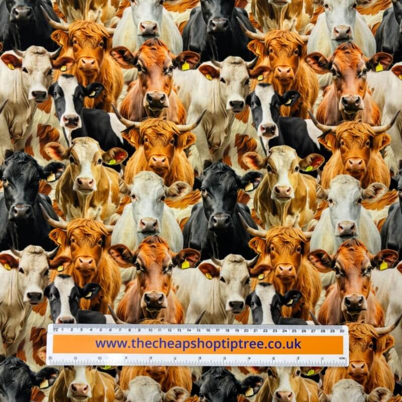 Image of Cow Herd Quilting Cotton