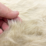 Lioness Fur