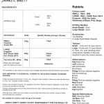 James C Brett Rabbits Pattern JB1011