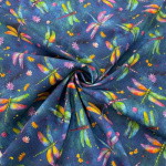 Dragonflies by Fiona Clarke