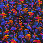 Magic Mushroom Cotton