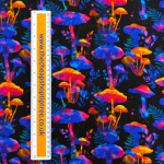 Magic Mushroom Cotton