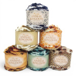 King Cole Animal Kingdom Aran 100g