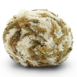 King Cole Animal Kingdom Aran 100g