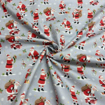 Merry Christmas Santa