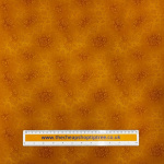 Bloom & Blend Quilting Cotton