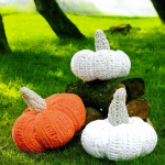 James C Brett Pumpkin Pattern JB953