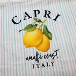 Dolce Vita Lemons Printed Canvas Reversible Bag Panel