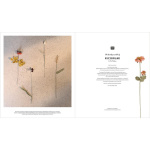 Ricorumi Book In The Meadow