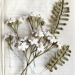 Ricorumi Book In The Meadow