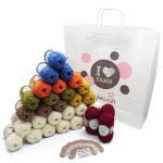 Stylecraft Love Letters to Autumn CAL Yarn Pack
