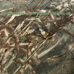 Duck Blind Camouflage by Mossy Oak