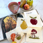 Stylecraft Love Letters to Autumn CAL Yarn Pack