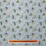 Peter Rabbit Tales of the Burrow