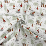 Peter Rabbit Tales of the Burrow