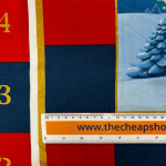 Christmas in Coming Advent Panel
