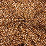 Acorns Quilting Cotton